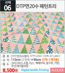 DTP면20수 패턴트리