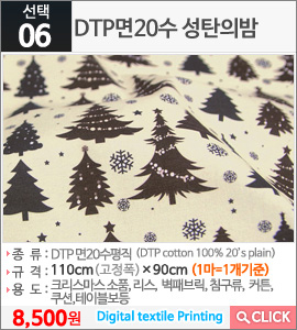 DTP면20수 성탄의밤