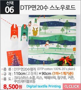 DTP면20수 스노우로드