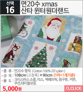 면20수 xmas산타 윈터원더랜드