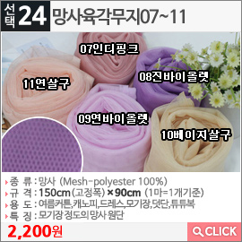 망사육각무지07인디핑크