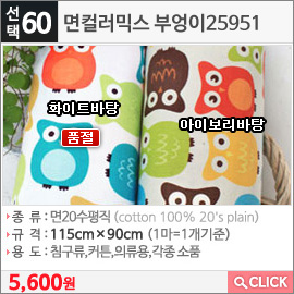 면컬러믹스 부엉이25951아이보리바탕