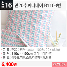 면20수써니데이 B1103번