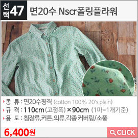 면20수 Nscr폴링플라워