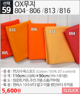 OX무지804