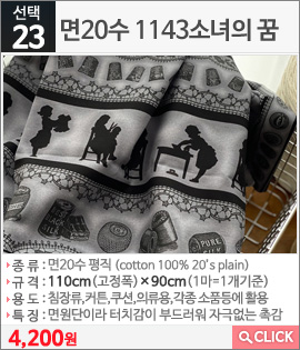 면20수 1143소녀의 꿈