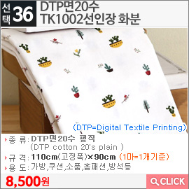 DTP면20수 TK1002선인장 화분