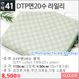 DTP면20수 라일리