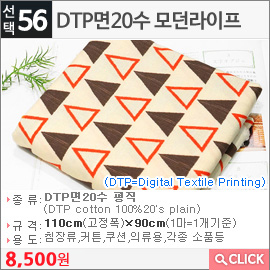 DTP면20수 모던라이프