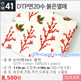 DTP면20수 붉은열매