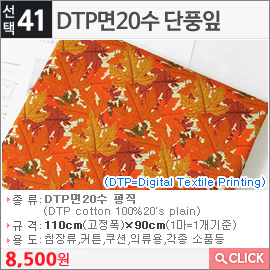 DTP면20수 단풍잎