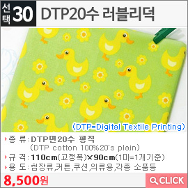 DTP20수 러블리덕