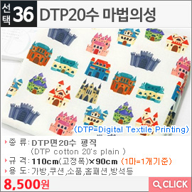 DTP20수 마법의성