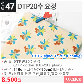 DTP20수 요정