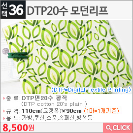 DTP20수 모던리프