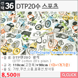 DTP20수 스포츠