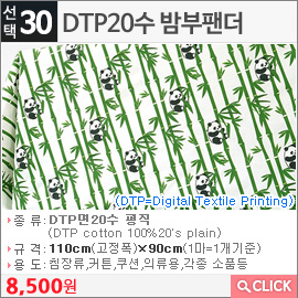 DTP20수 밤부팬더