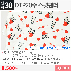 DTP20수 스윗팬더