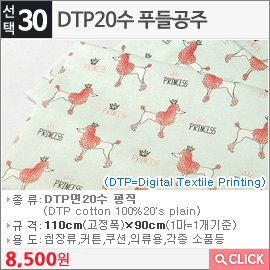 DTP20수 푸들공주