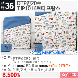 DTP면20수 TJP1016쁘띠 프랑스