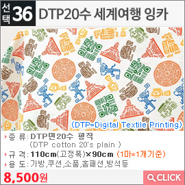 DTP20수 세계여행 잉카