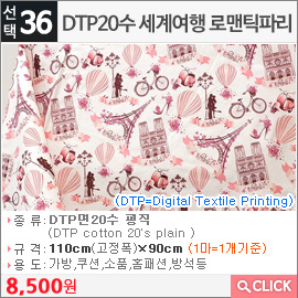 DTP20수 세계여행 로맨틱파리