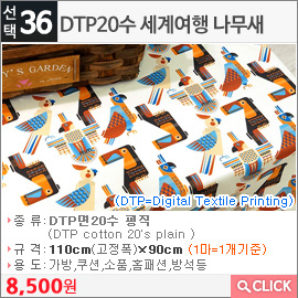 DTP20수 세계여행 나무새