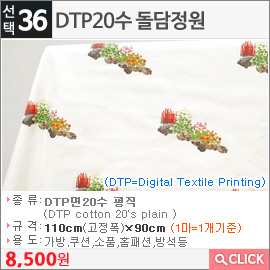 DTP20수 돌담정원