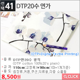 DTP20수 연가