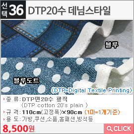 DTP20수 데님스타일블루