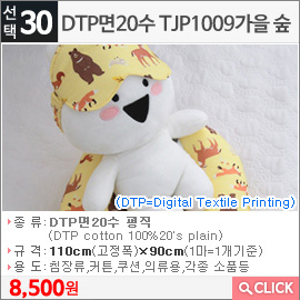 DTP면20수 TJP1009가을 숲