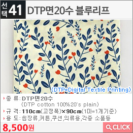 DTP면20수 블루리프