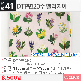 DTP면20수 벨리지아