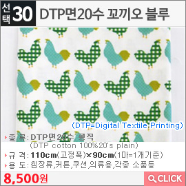 DTP면20수 꼬끼오 블루