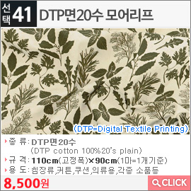 DTP면20수 모어리프