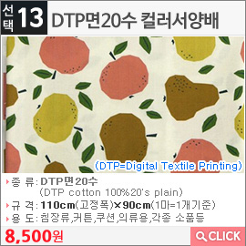 DTP면20수 컬러서양배