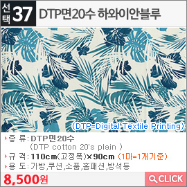 DTP면20수 하와이안블루