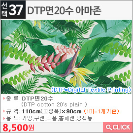 DTP면20수 아마존