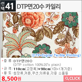 DTP면20수 카일리