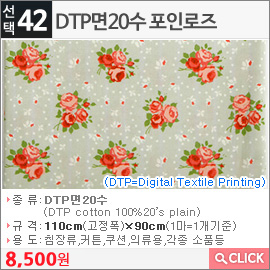 DTP면20수 포인로즈