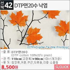 DTP면20수 낙엽