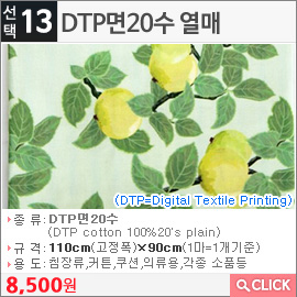 DTP면20수 열매