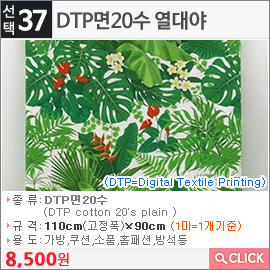 DTP면20수 열대야