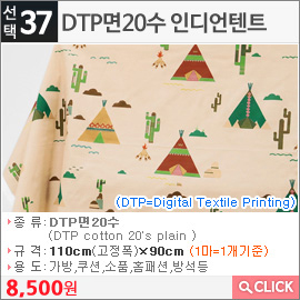 DTP면20수 인디언텐트