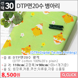 DTP면20수 병아리