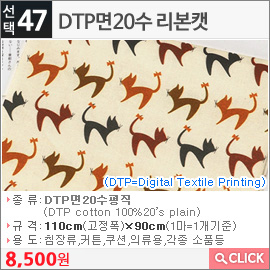 DTP면20수 리본캣