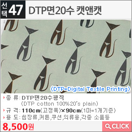 DTP면20수 캣앤캣