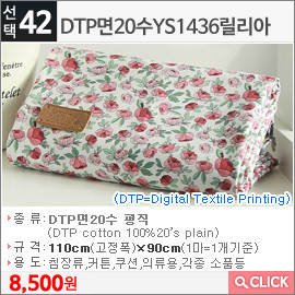 DTP면20수 YS1436릴리아