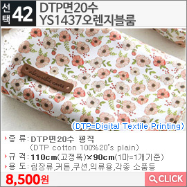 DTP면20수 YS1437오렌지블룸