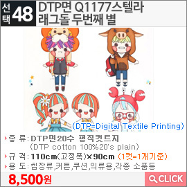 DTP면 Q1177스텔라 래그돌 두번째 별